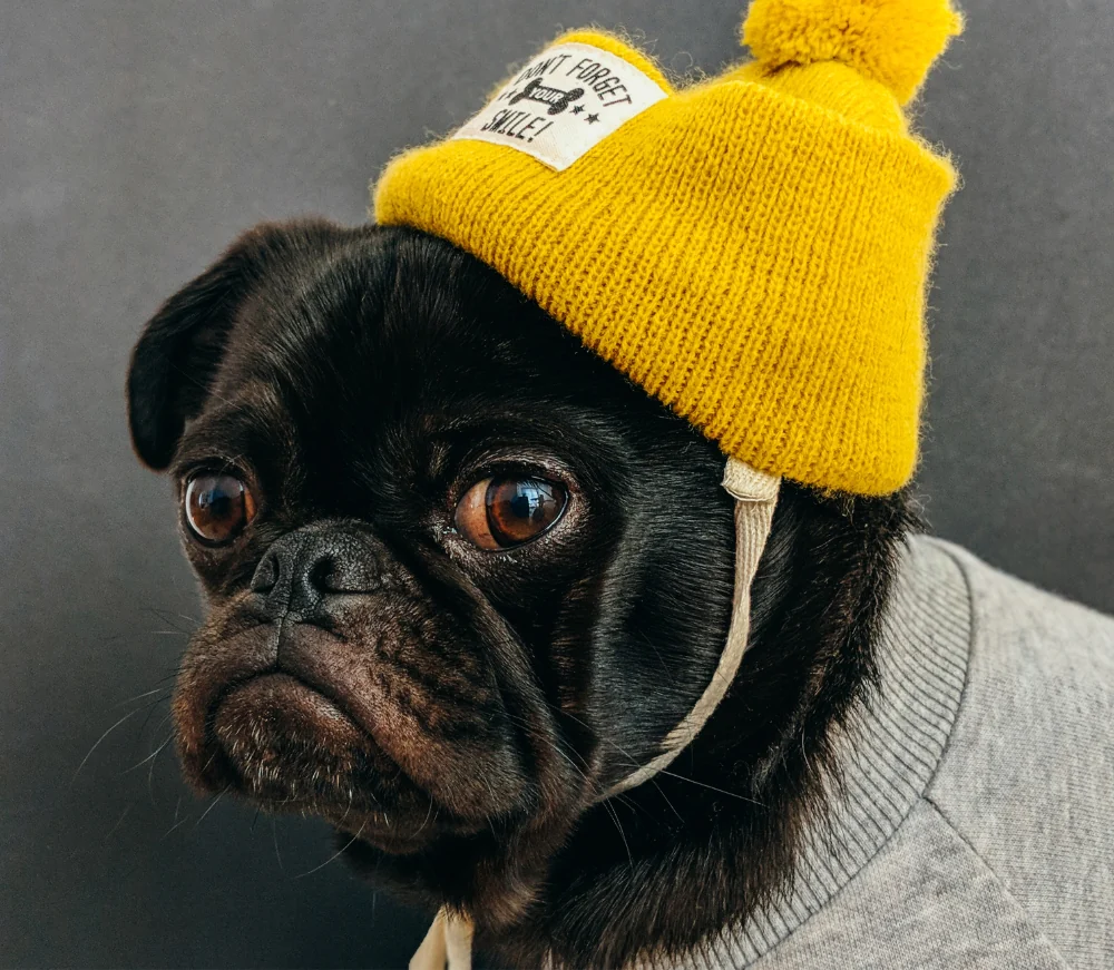 figurka z sierścią