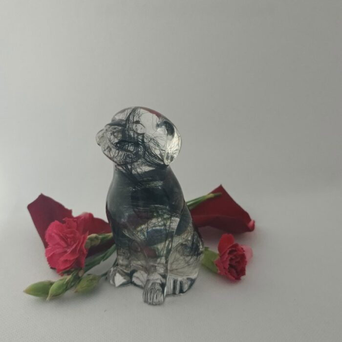 Pamiątka z sierścią psa