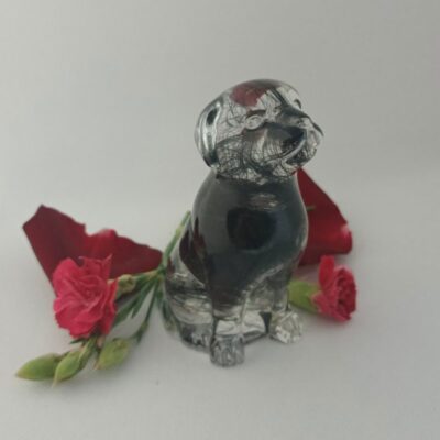 pamiątka z sierścią psa