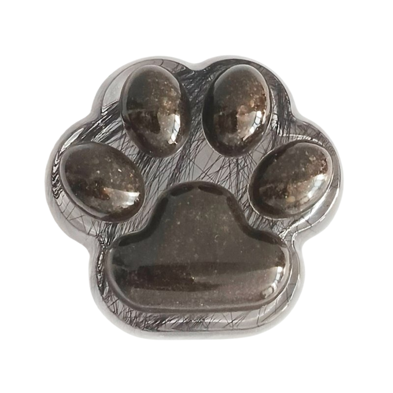 Pamiątka po zwierzaku Bydgoszcz