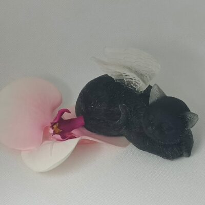 pamiątka po śmierci kota