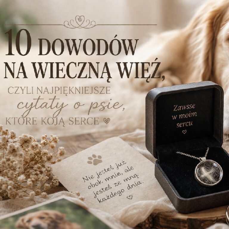 cytaty o psie